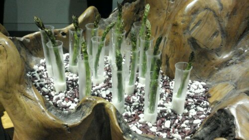 wpid-2012-04-25_19-07-20_903