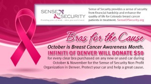 Bras for the Cause will aid Sense of Security.