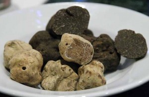 Barolo's year truffle dinner is slated for .