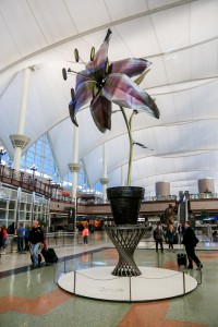 Price Davis Denver Lily.credit Denver International Airport
